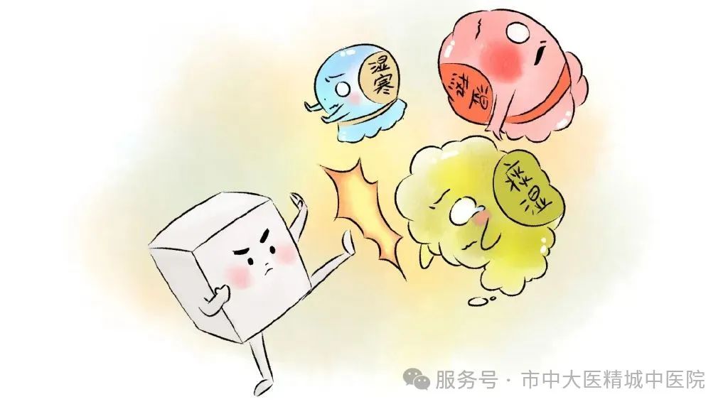 微信图片_20250811164025