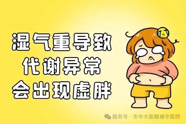 微信图片_20250811163926