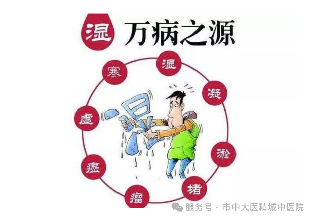 微信图片_20250811163858