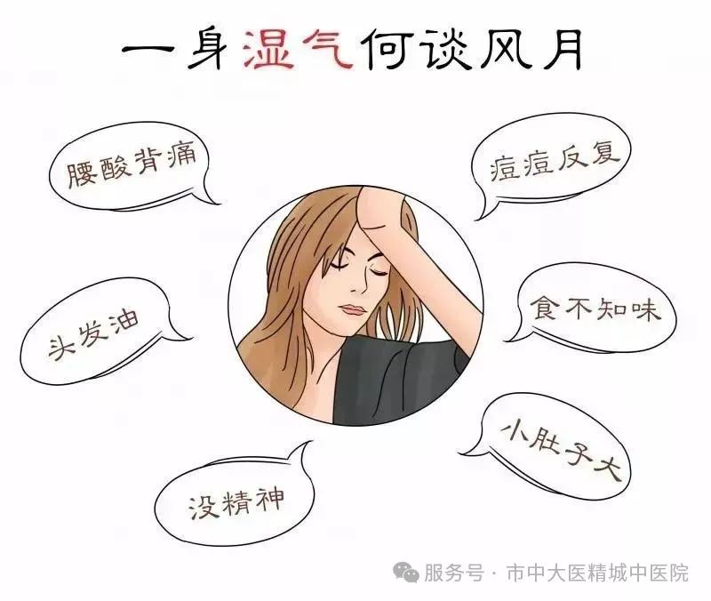 微信图片_20250811163958