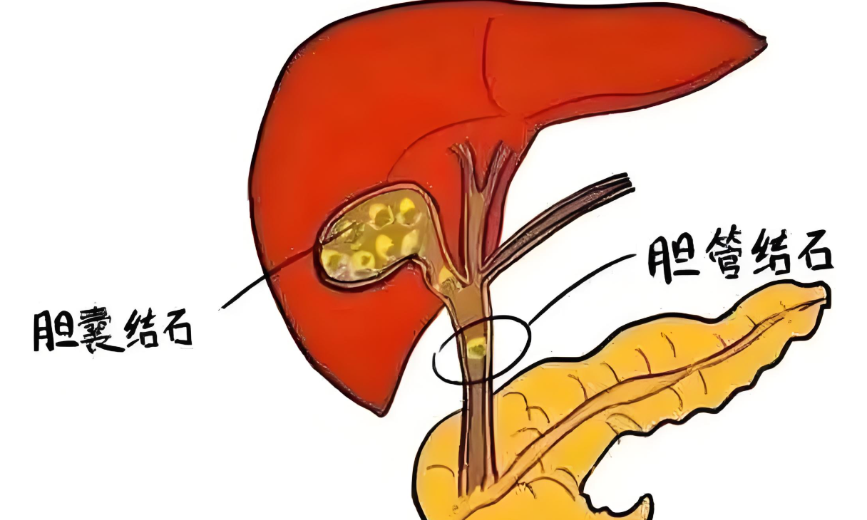 c471f746-d13c-4360-9501-08dd385c28da