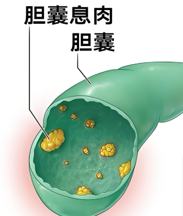 c0823dbb-ca77-400d-8132-ccfef286834a