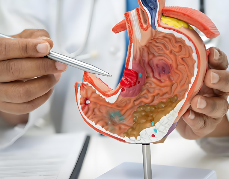 1d2e6786-ac16-4222-b1f1-ff6154469abd