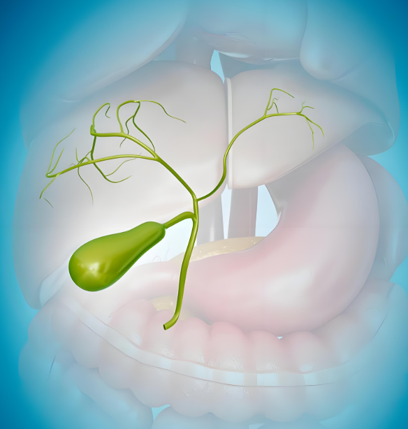 1b3229d4-7975-476d-a001-9a3e119e9011