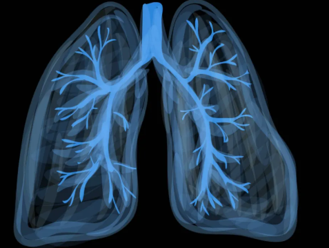 b5be9ce7-5c89-4990-88ec-dc0e3ec52996