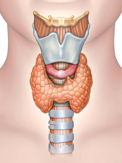 6a3d9087-ad62-425c-9b53-33ceaddb7cf9