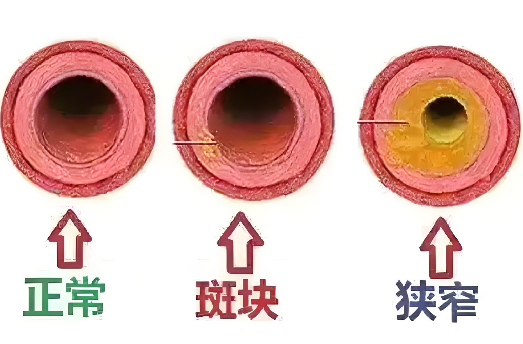 55119ce3-5067-4a3e-be1a-773a1483f930